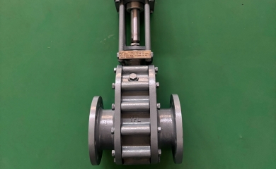 Repeated order of ceramic double disc gate valves exported to Pakistan