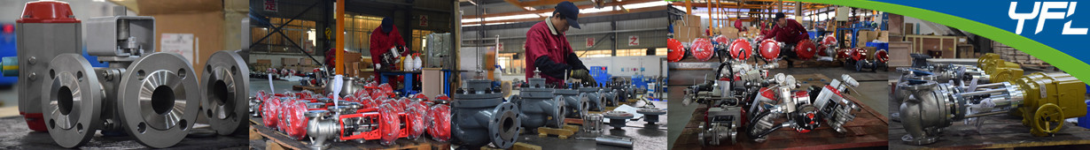 Globe Control valves assembly