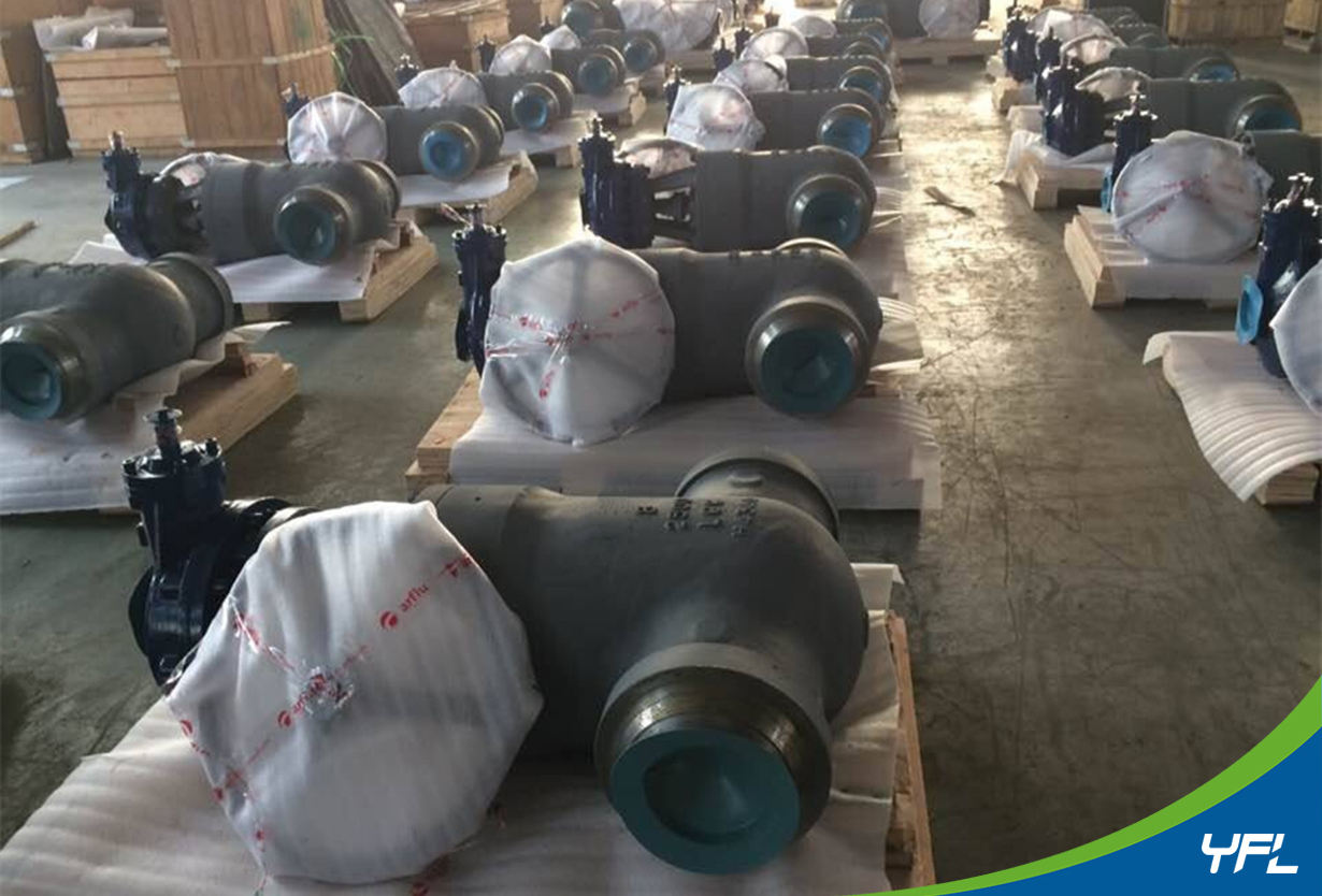 WC6, WC9 High pressure high temperature pressure seal bonnet globe valves