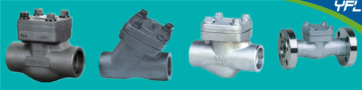 Ball type check valve, Y type check valve, lift type check valves, forged check valves