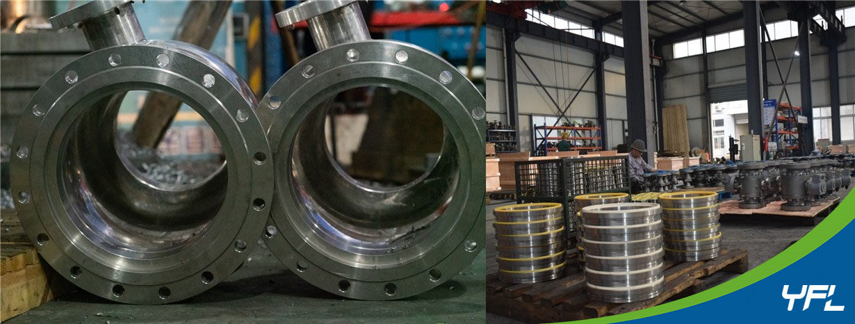 ball valves body, seat ring assembly