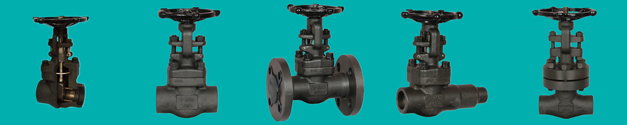 Power station high pressure forged gate valves