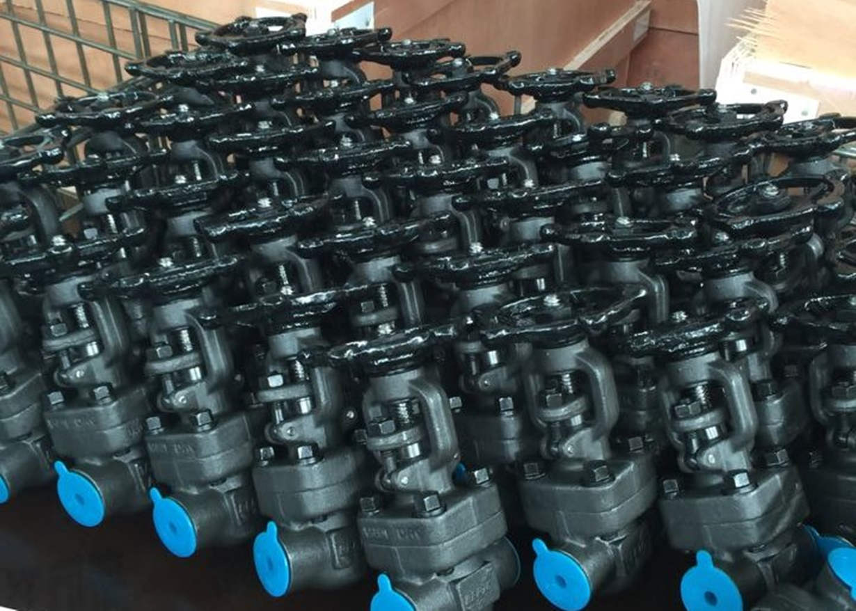 API 602 forged steel gate valves