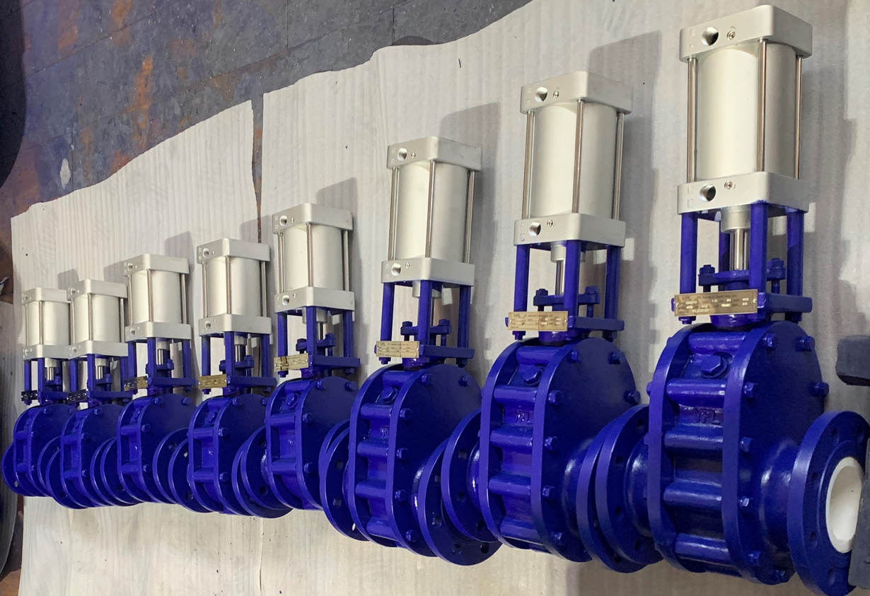 Ceramic double disc gate valves for coal-fired power plants