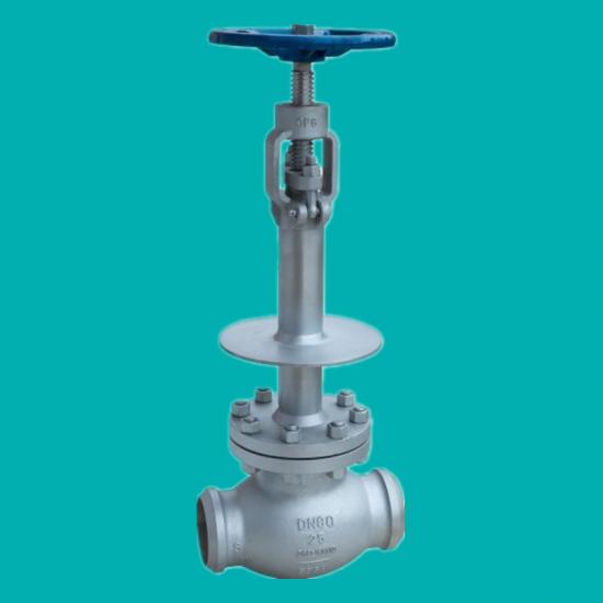 Cryogenic globe valves