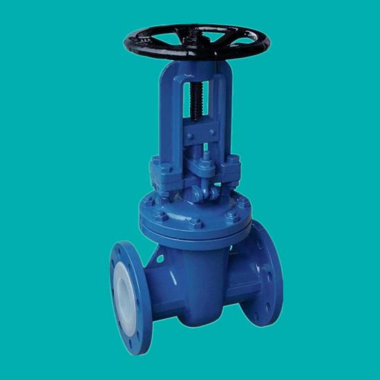 FEP lined gate valves