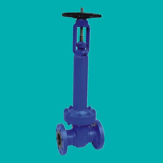 Bellows seal gate valves for steam