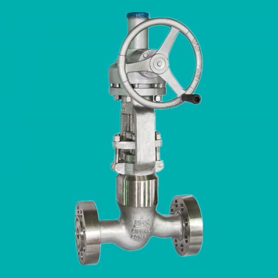 Inconel CW6MC  Globe Valves