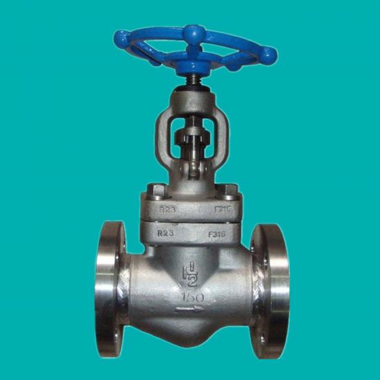 F316 Forged Globe Valves