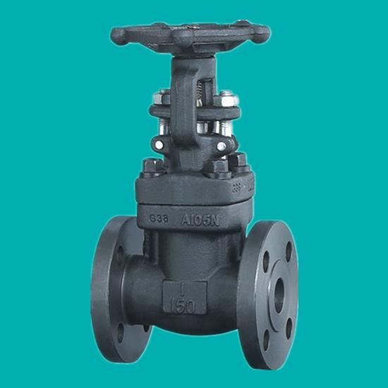 Duplex F904L  Gate Valves