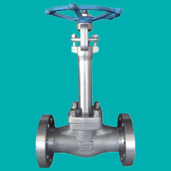 Cryogenic Globe Valves