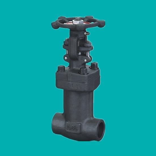 Bellows Seal Forged Globe Valves
