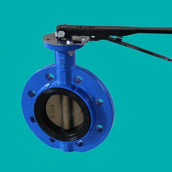Single flange concentric butterfly valves