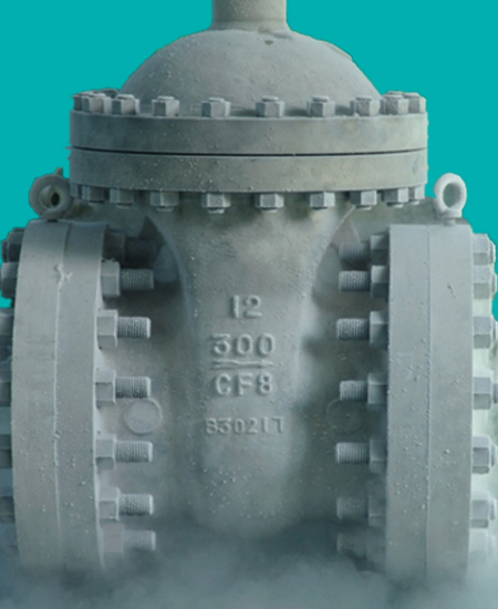 Low Temperature Valves