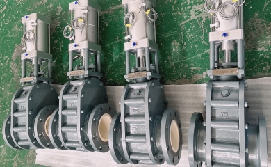 YFL Wear resistant ceramic double disc gate valves exported to Indonesia