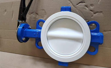 Fully PTFE Lined Butterfly Valves Exported to Philippines and Iran