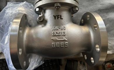 YFL JIS Standard check valves, ball valves and UPVC butterfly valves are exported to Philippines