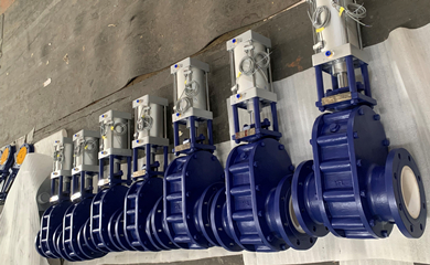 YFL Wear Resistant Ceramic Double Disc Gate Valves exported to Indonesia