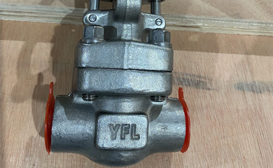 YFL F53 Duplex Stainless Steel Gate Valves Exported to Philippine