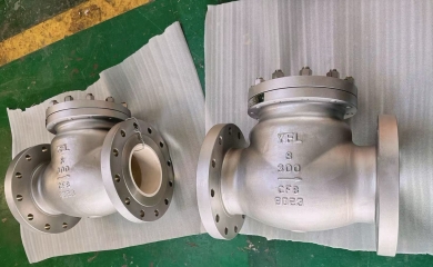 YFL Wear resistant ceramic swing check valves for customer in USA
