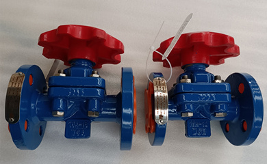 PFA Lined Diaphragm Valves and PFA Lined Lift Type Check Valves exported to Moroco in Africa