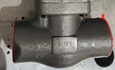 YFL JIS Standard Forged Steel A105 Globe Valves Exported to Philippines