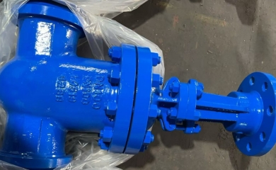 YFL PN100 DN100 BW ends Gate valves exported to Bulgaria