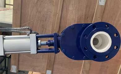 Repeated order of ceramic double disc gate valves for coal fired CFB boiler from Pakistan