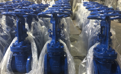 DIN F4 Gate Valve, F1 Check Valves, F1 Y type Strainers exported to Bulgaria