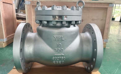 YFL Wear Resistant Ceramic check valve with duplex stainless steel body exported to USA