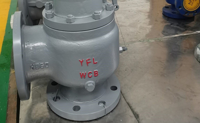 YFL Pressure Relief Valves Exported to Philippines