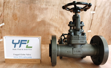 Forged Steel Gate Valves,Globe Valves,Check Valves,Strainers Exported To Power Plants In Philippines