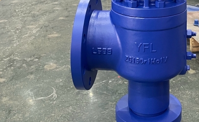 YFL High temperature safety valves exported to Indonesia