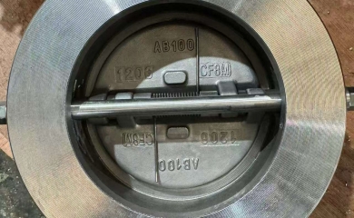 YFL stainless steel CF8M Dual plate check valves exported to India