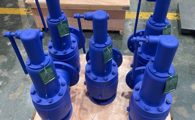 Repeated order of pressure safety valves exported to Turkey