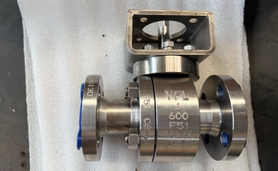 YFL Duplex stainless steel F51 metal seat ball valves exported to Chile